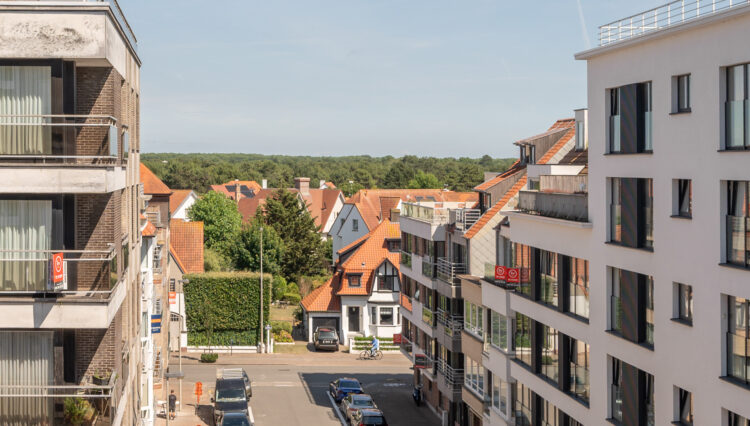 zicht c